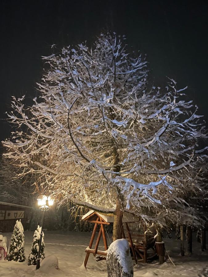 Cabana Din Groapa Frumoasa Rîşnov Exterior foto